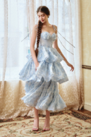 Bluebell Dream Layered Long Dress